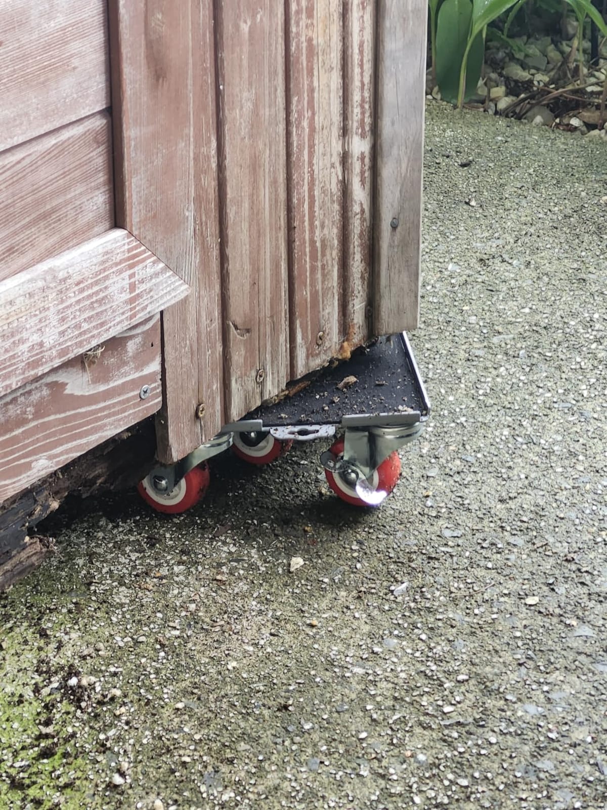 MYUEA Furniture Dolly, Furniture Movers with 5 Wheels, Carbon Steel Panel Heavy Duty Dolly, Maximum Load 3474LBS, 360° Rotatable Rubber Universal Wheels (Black, 6.89x6.9 in) customer photo 1