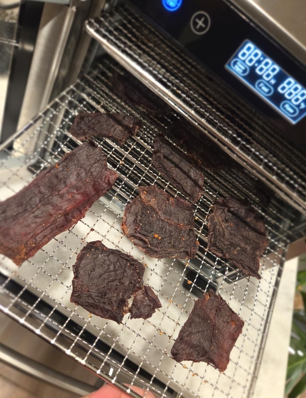 Pro Food Dehydrator Machine | Powerful 600W Rear Fan Even-Drying System | 7 Full-Size Stainless Steel Trays | 95°-176° Temperature Control, 48H Timer, Keep Warm + Auto Shutoff | ETL Listed customer photo 2