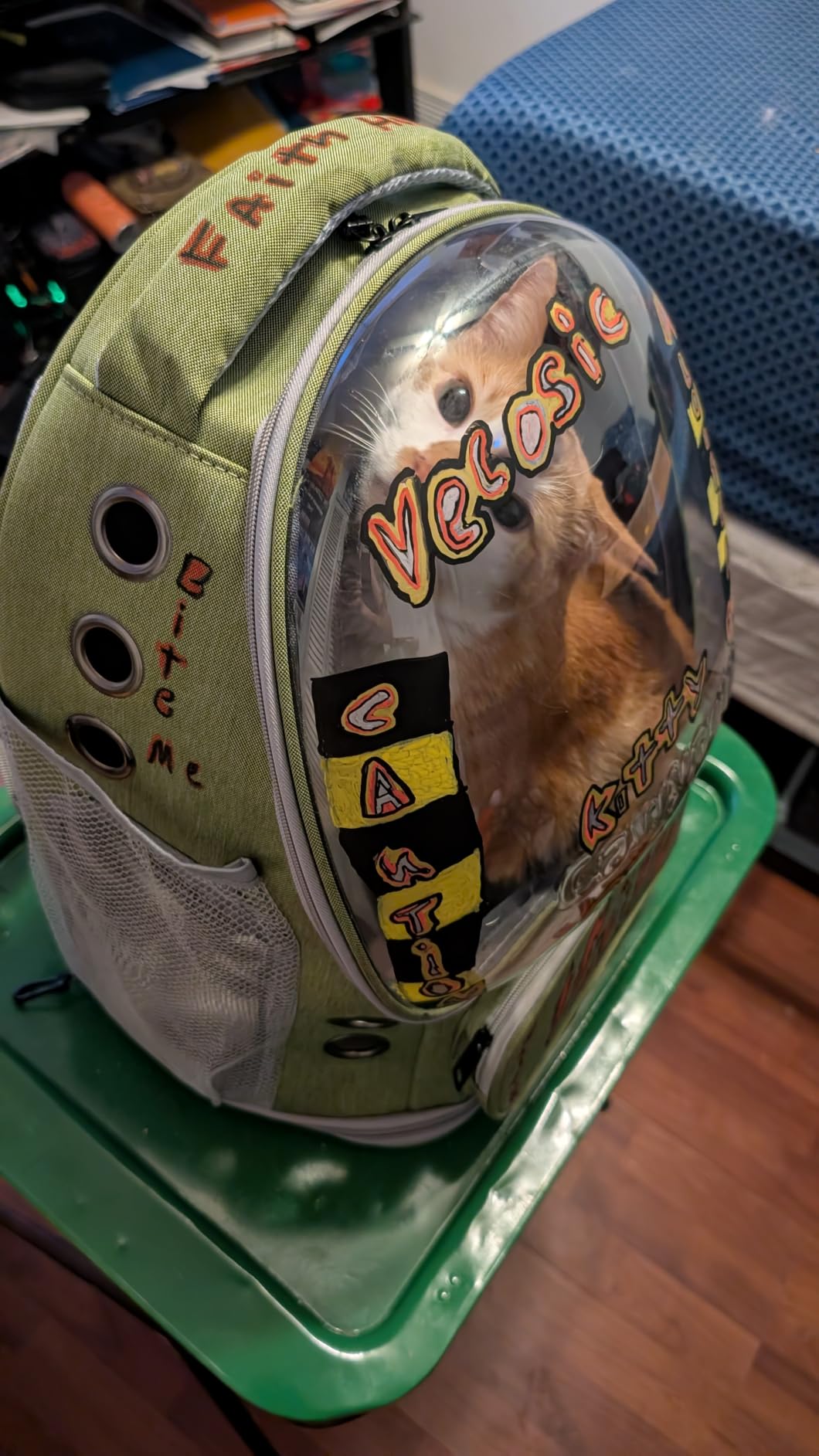Cawypety Cat Backpack Carrier, Breathable Cat Carrier Large Space Bubble Pet Backpack for Kitty Small Dog up to 15lbs, Transparent & Foldable Pet Carrier for Travel Hiking customer photo 2