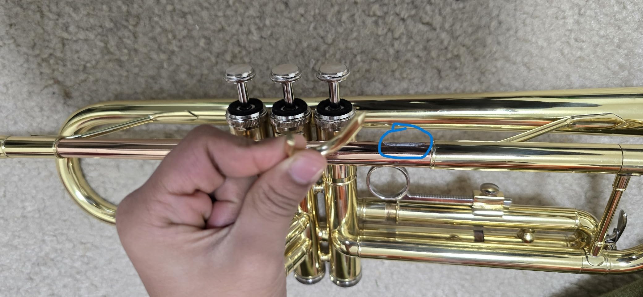 Glory Bb Trumpet - Trumpets for Beginner or Advanced Student with Case, pair of gloves-white customer photo 2