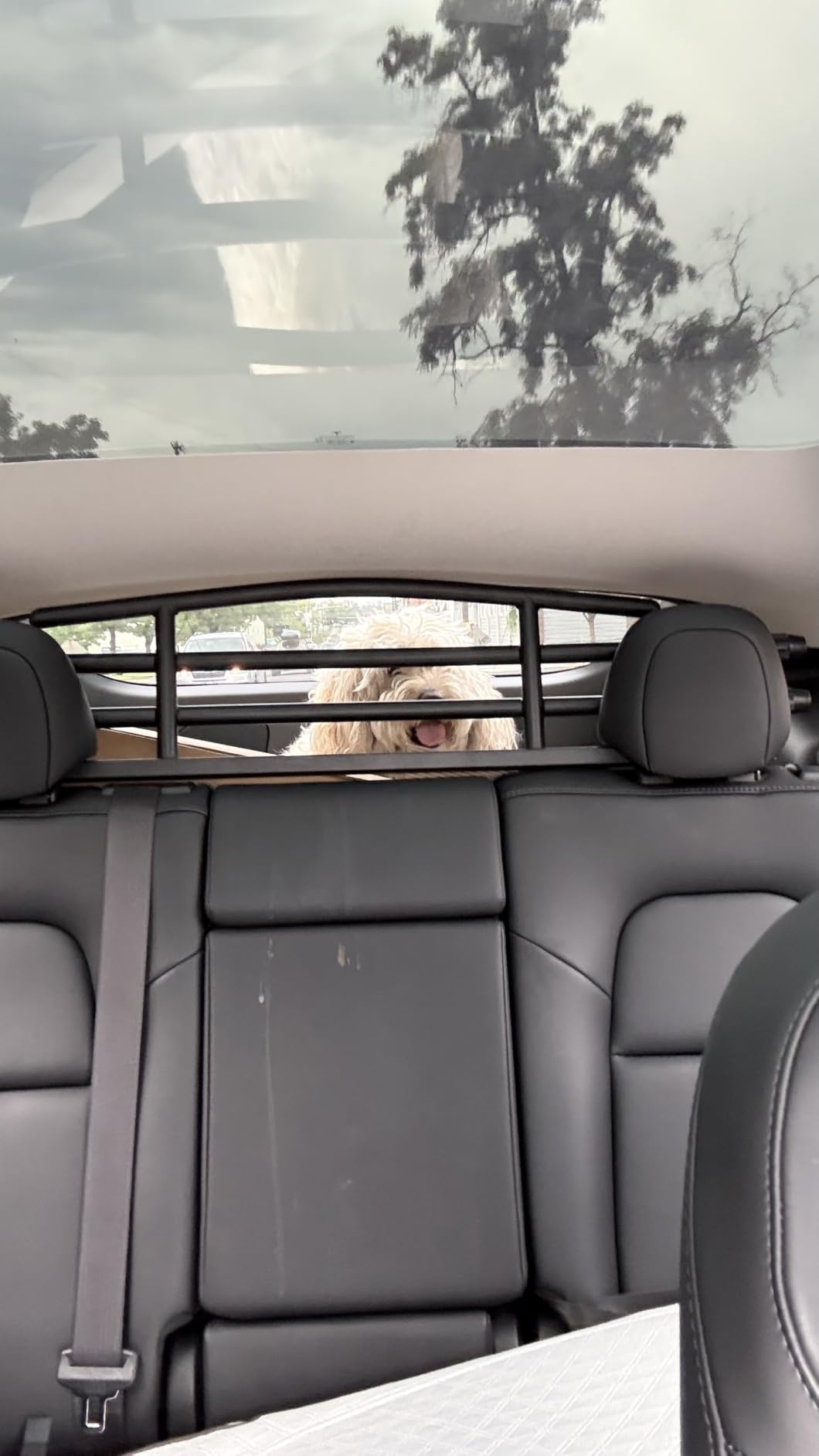 for Tesla Model Y Dog Barrier Adjustable Large Pet Protective Barrier Anti-bite Heavy-Duty Metal Stainless Steel for Dog Travel Accessories 2021 2022 2023 2024 customer photo 1