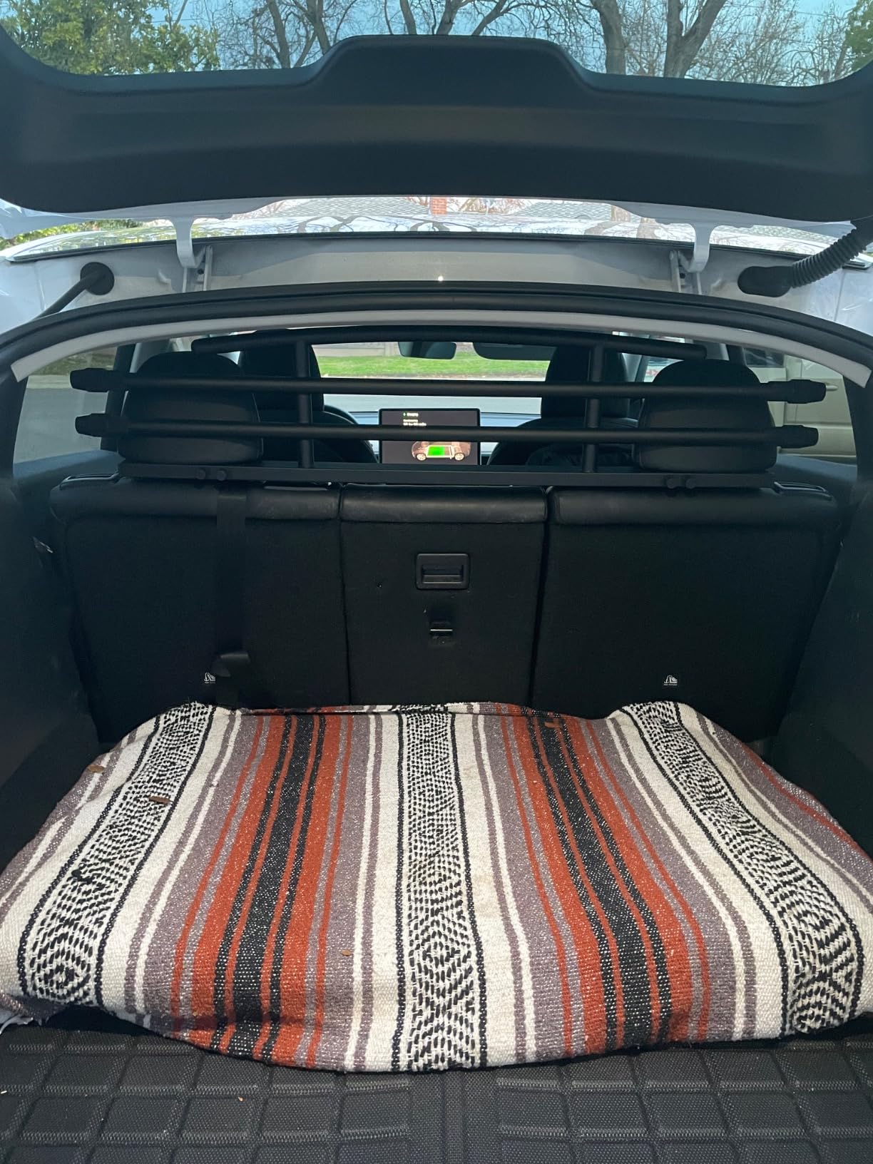 for Tesla Model Y Dog Barrier Adjustable Large Pet Protective Barrier Anti-bite Heavy-Duty Metal Stainless Steel for Dog Travel Accessories 2021 2022 2023 2024 customer photo 2