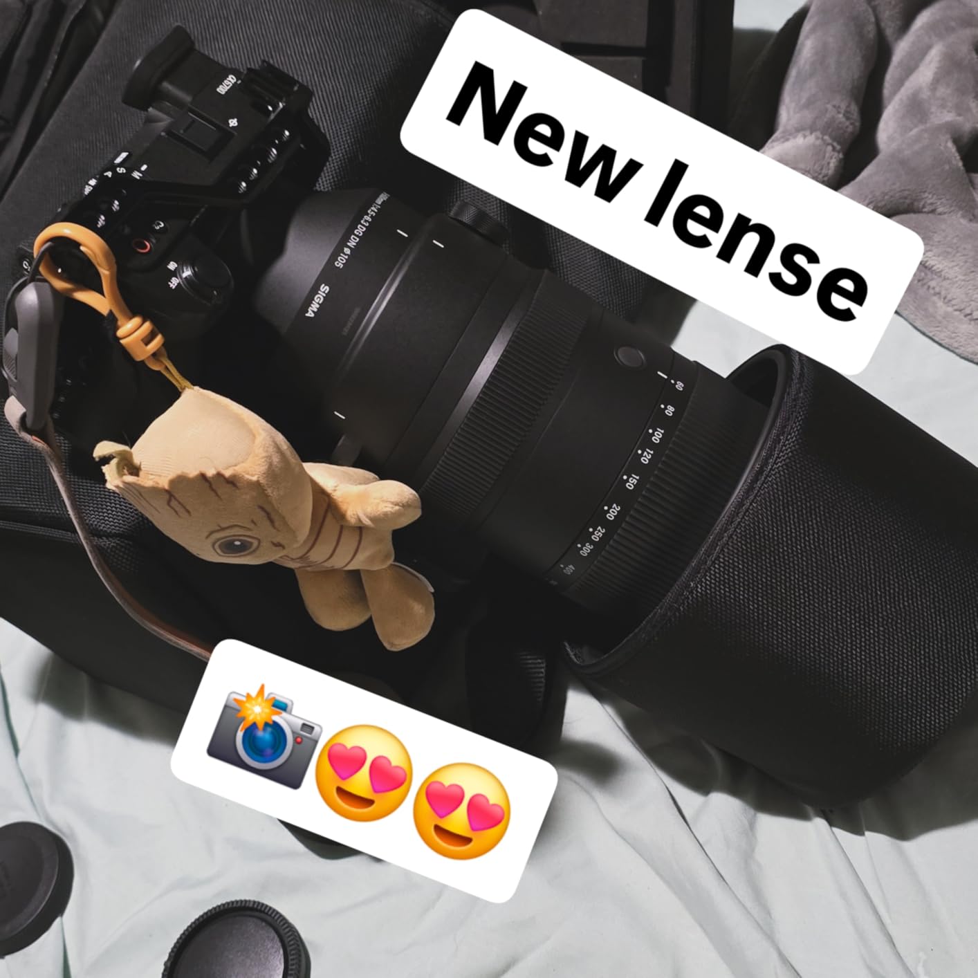 Sigma 60-600mm F4.5-6.3 DG DN OS for Sony E Mount customer photo 2