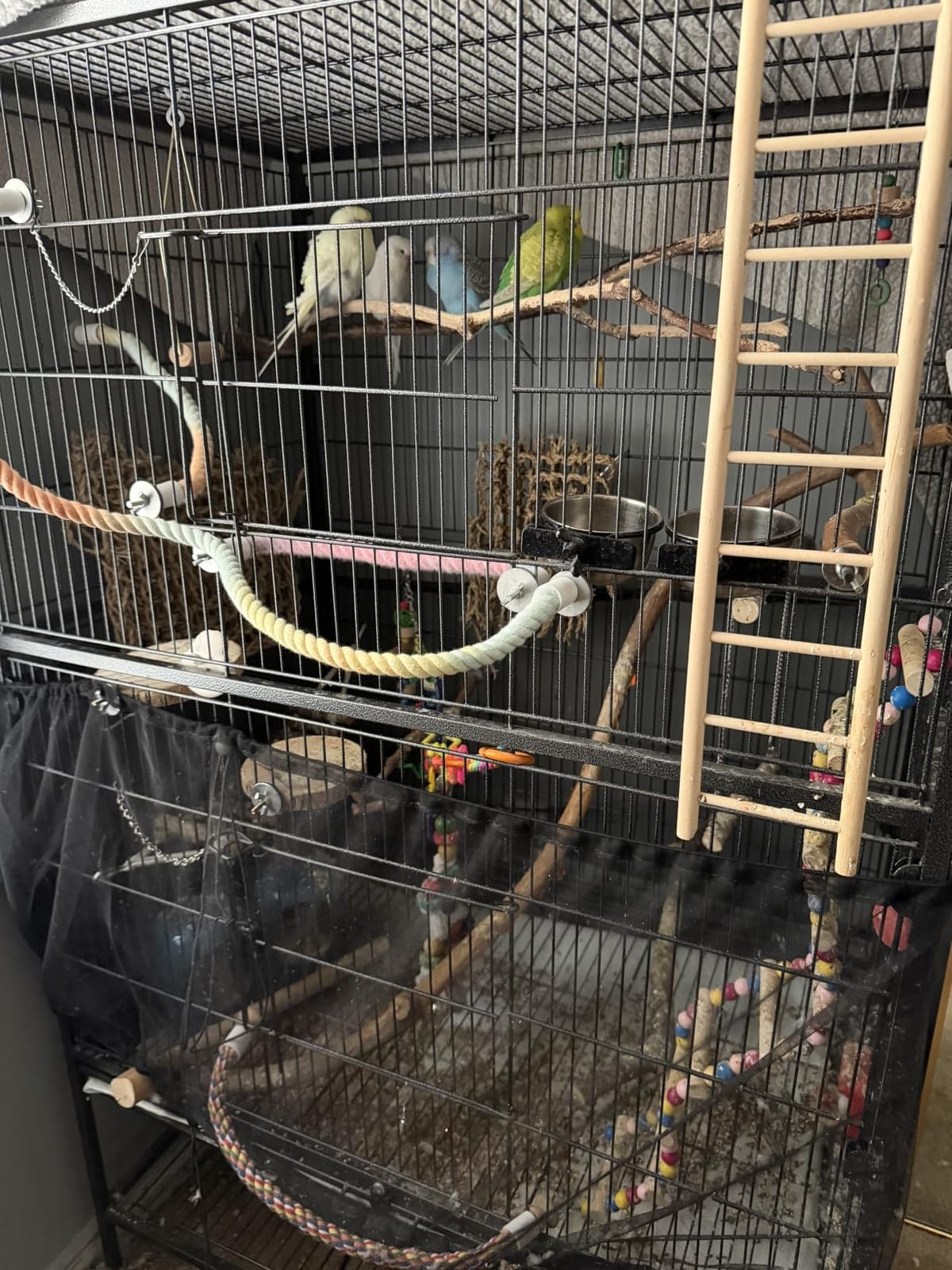 Yaheetech 60.5 inch Extra Large Bird Cage Metal Parrot Cage Flight Cage for Cockatiels African Grey Quaker Green Cheek Sun Conure Medium Birds Parrots customer photo 2