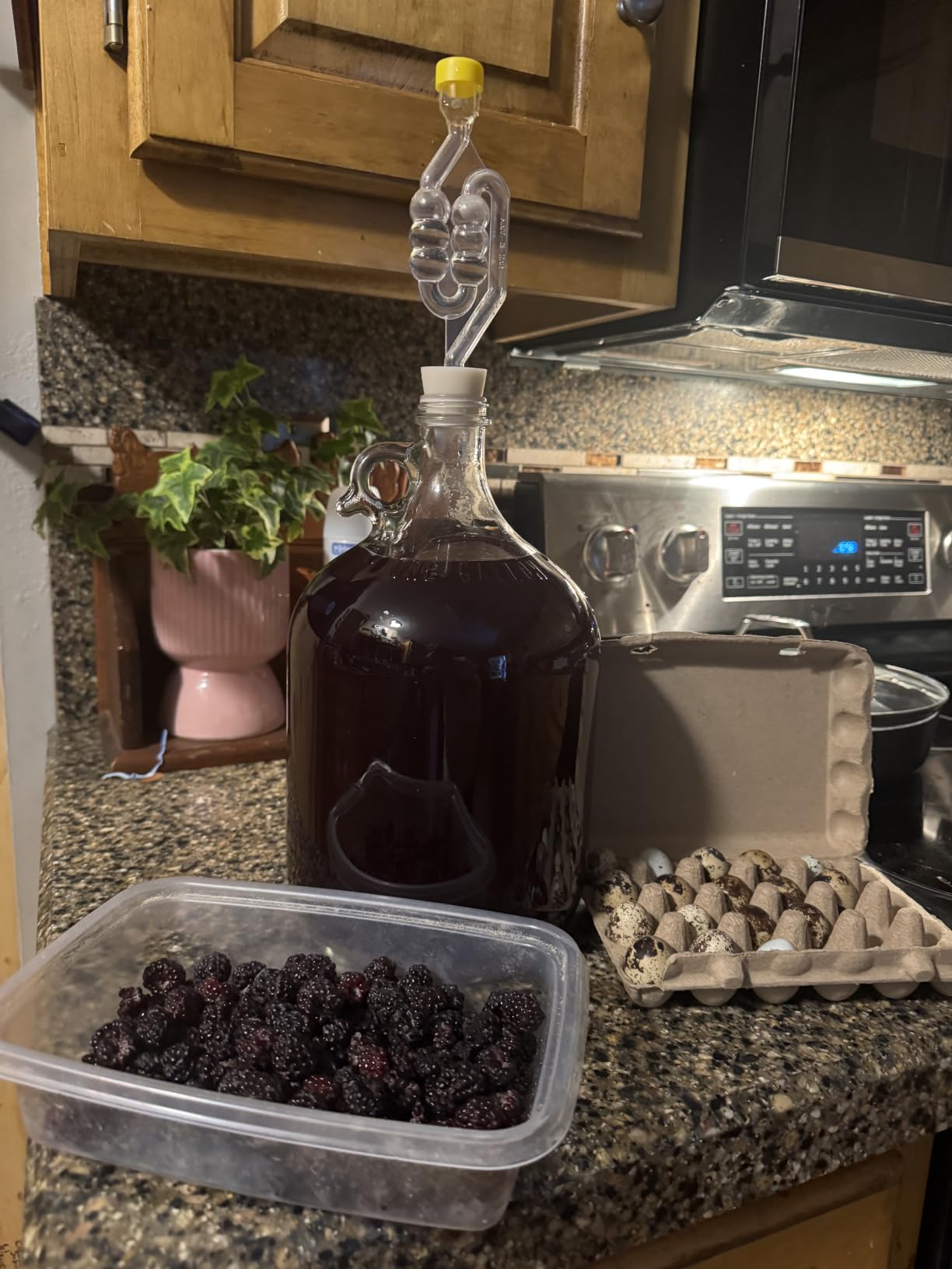 North Mountain Supply Fermenting Jug Starter Kit, 1 Gallon - Home Brewing, Starter Kit, Wine, Beer Brewing For Beginners, Jug With Handle, Airlock, Yeast customer photo 1