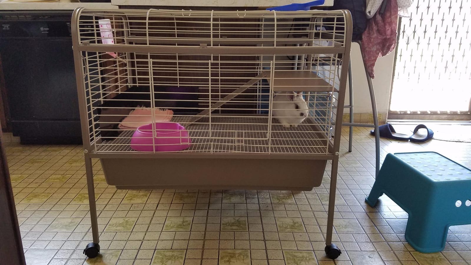 Prevue Pet Products Small Animal Home with Rolling Stand - Indoor Cage Habitat with Full Access Rooftop & Door, Deep Plastic Base, Easy Clean Wire Enclosure for Guinea Pigs & Rabbits - Blue customer photo 1