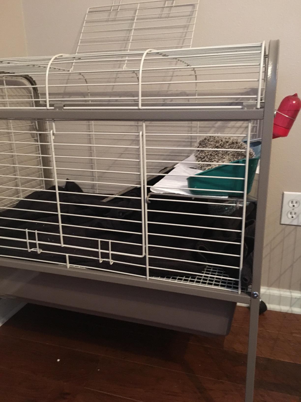 Prevue Pet Products Small Animal Home with Rolling Stand - Indoor Cage Habitat with Full Access Rooftop & Door, Deep Plastic Base, Easy Clean Wire Enclosure for Guinea Pigs & Rabbits - Blue customer photo 2
