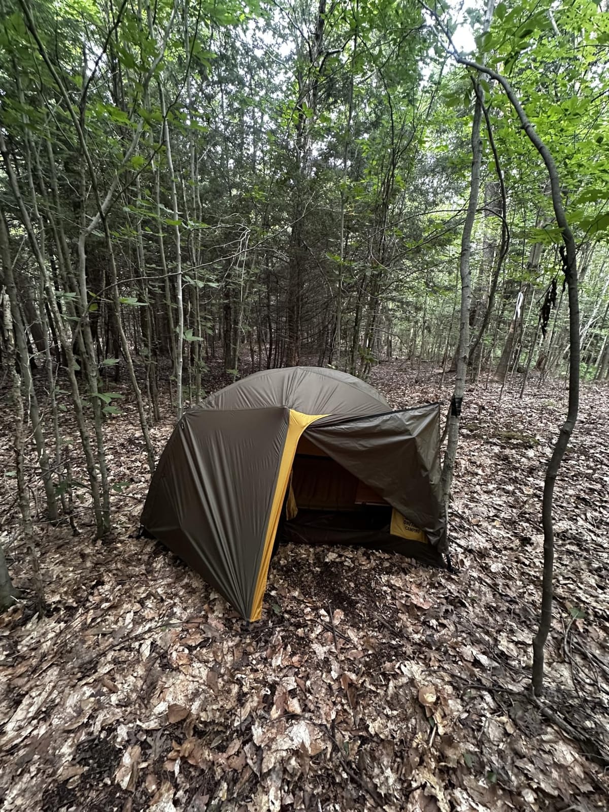 OneTigris Stella 4 Season Camping Tent Backpacking Waterproof Lightweight Easy Setup Instant 3000mm Waterproof Rating Outdoor Hiking Tent customer photo 2