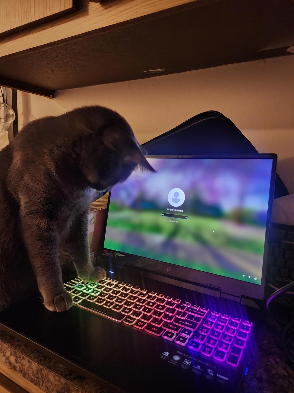 Acer Predator Helios 16 Gaming Laptop, 13th Gen Intel Core i7-13700HX, NVIDIA GeForce RTX 4060, 16