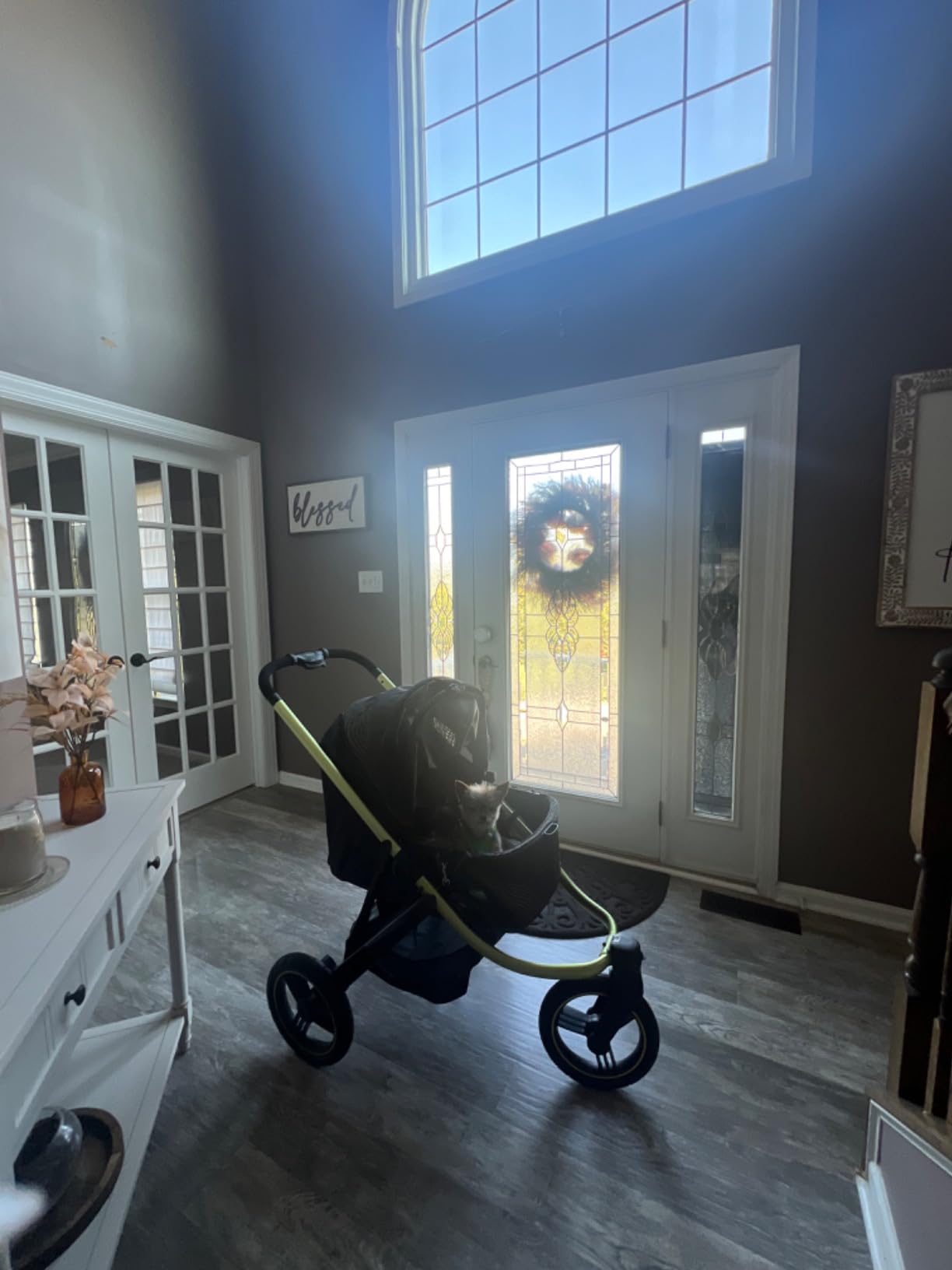 ibiyaya The Beast Pet Jogging Stroller for All Terrains, 3-Wheel Dog Carrier with Double Breaks, Zipperless Large Stroller for Running & Hiking, Multiple Small Dogs, Medium Dogs, or Cats (Flash Grey) customer photo 1