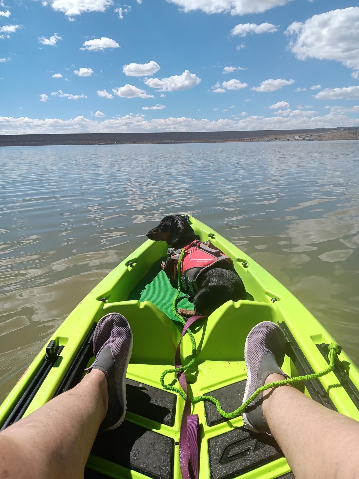 OCEANBROAD Kayak Paddle Leash Accessories for Kayaking Fishing Paddle Board | 4-7ft Stretchable, Kayak Paddle Strap, Kayak Tether, Oar Leashes, Fishing Lanyard Rope, Kayaking Essentials customer photo 1