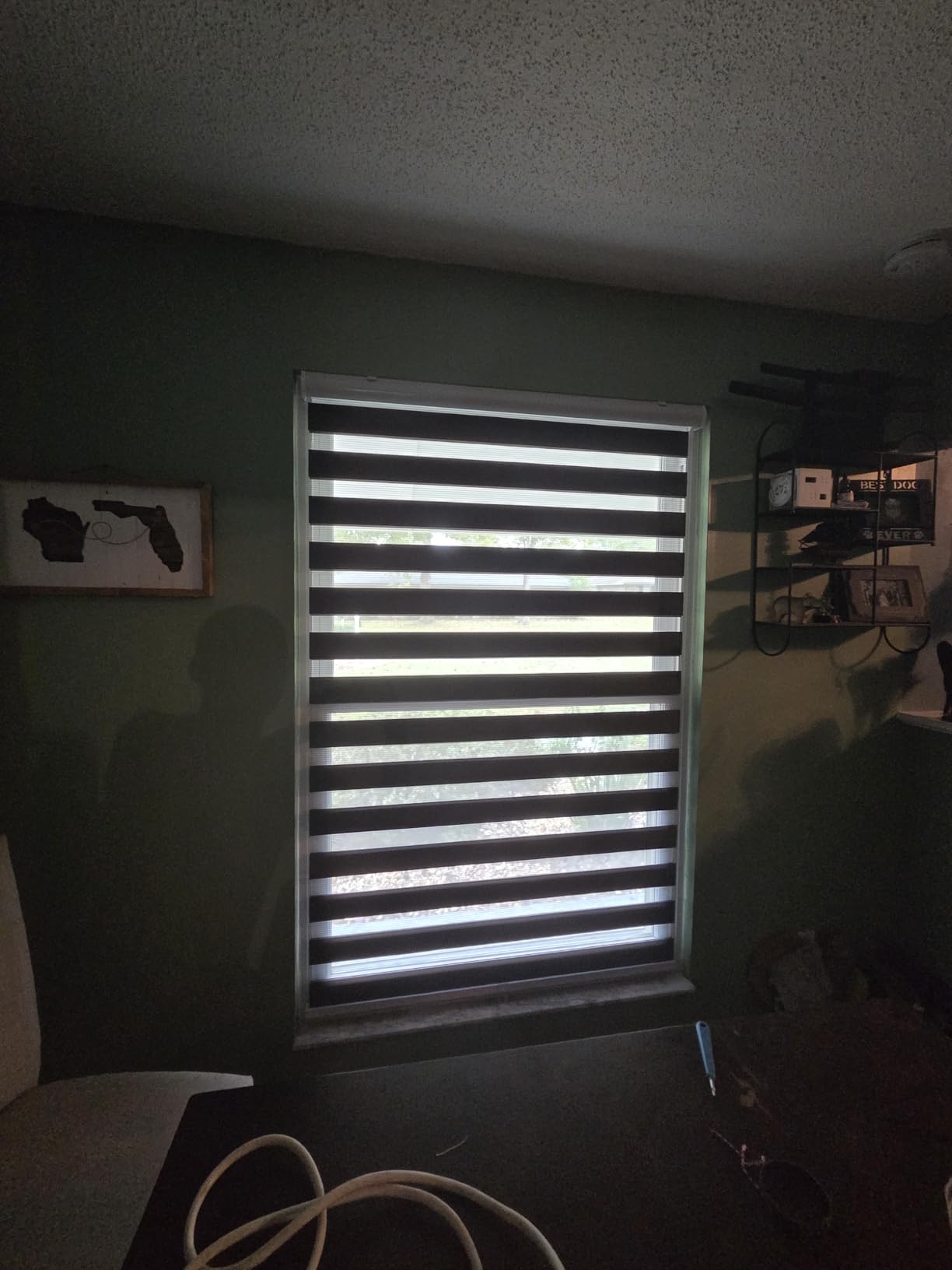 Kokorona Zebra Blinds Roller Shades Cordless Window Blinds with Valance Cover, Day and Night Sheer Shades Dual Layer Fabric for Light Control Light Filtering Privacy, Dark Grey, 43
