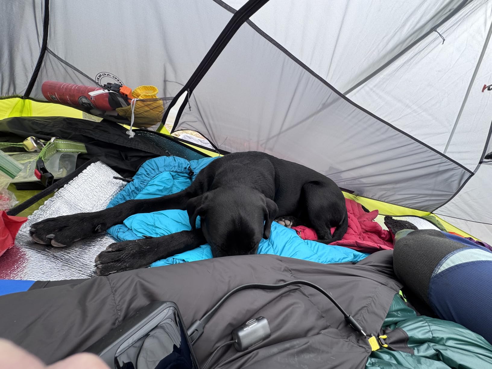 Glacial Blue Ultralight Dog Sleeping Bag with Packable Bed for Hiking, Camping and Outdoor Travel - Medium Size customer photo 1