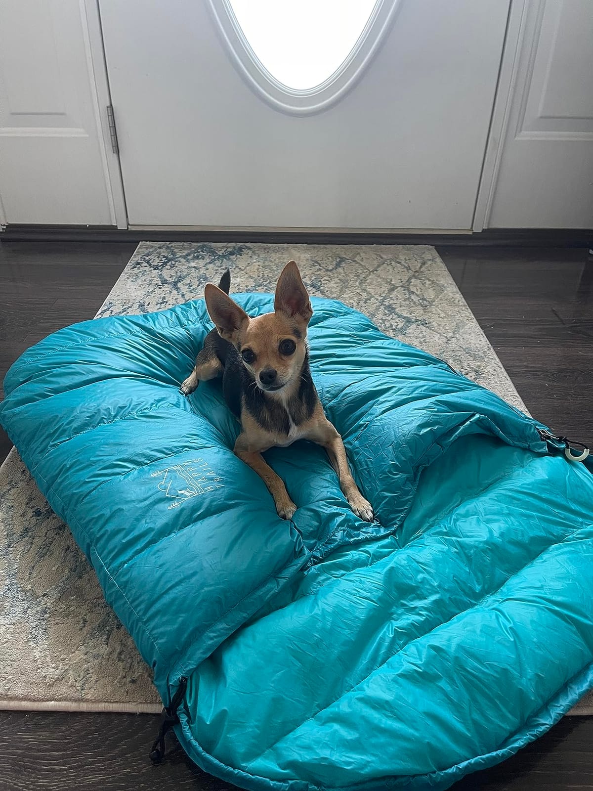 Glacial Blue Ultralight Dog Sleeping Bag with Packable Bed for Hiking, Camping and Outdoor Travel - Medium Size customer photo 2