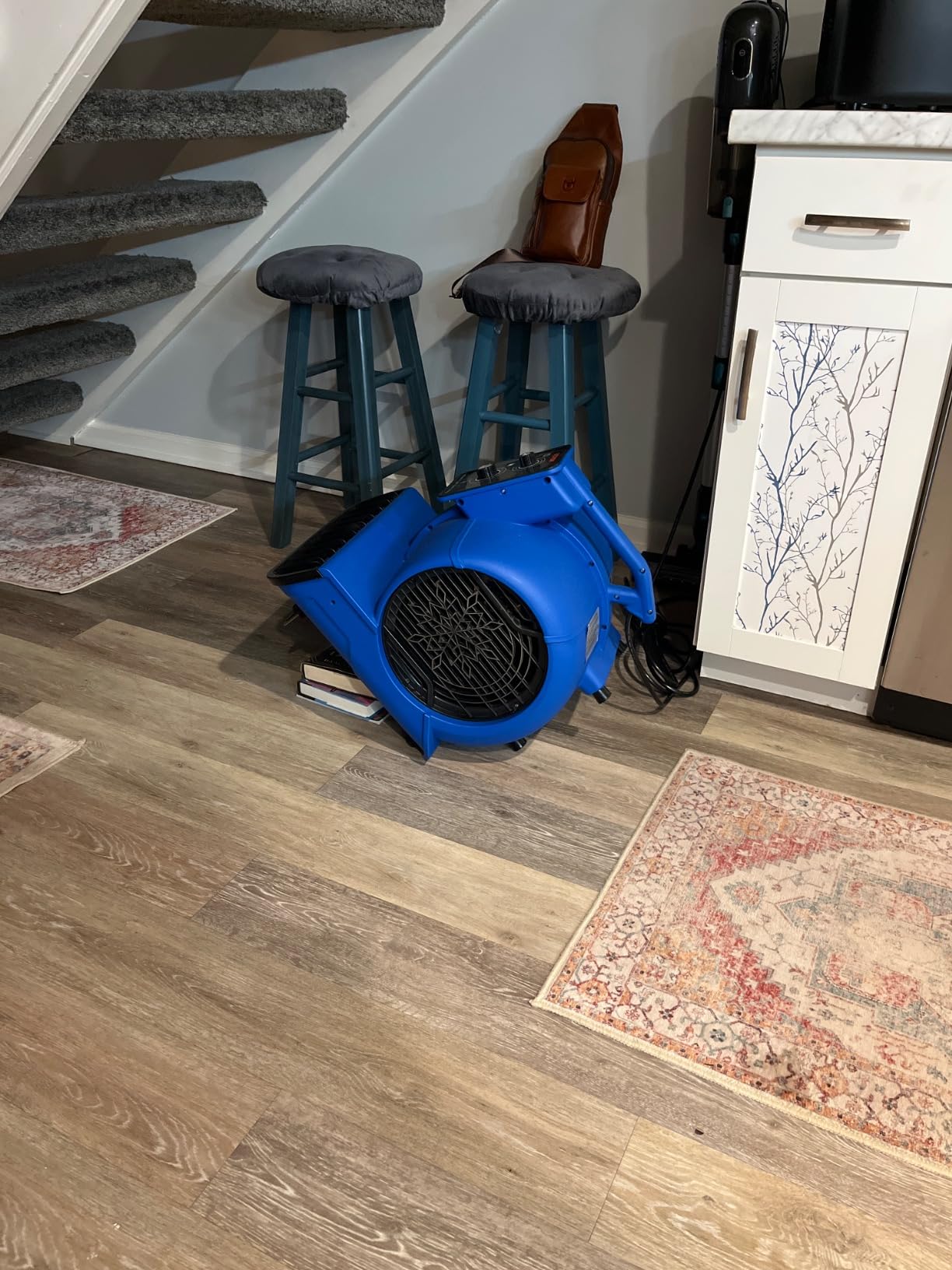 VEVOR Air Mover, 1/2 HP 2600 CFM Carpet Dryer customer photo 1