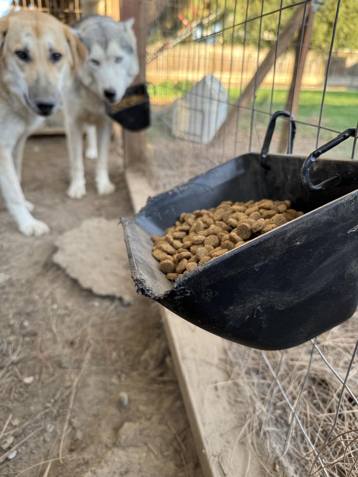 Hanging Chicken Feeder Trough for Goat Sheep Deer Poultry Duck Chicken Fence Feeder Livestock Feeding Container Goats Supplies Feeders Waterer Bucket customer photo 2