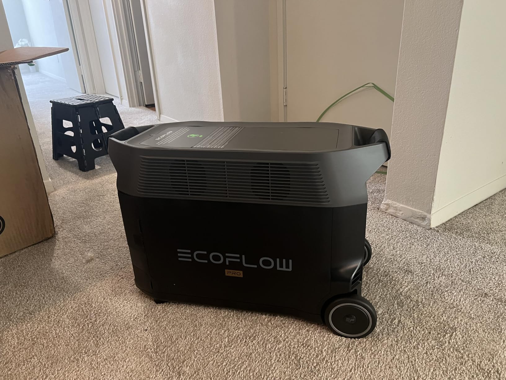 EcoFlow DELTA Pro customer photo 1