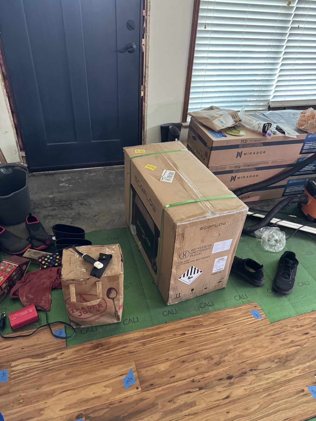 EcoFlow DELTA Pro customer photo 2