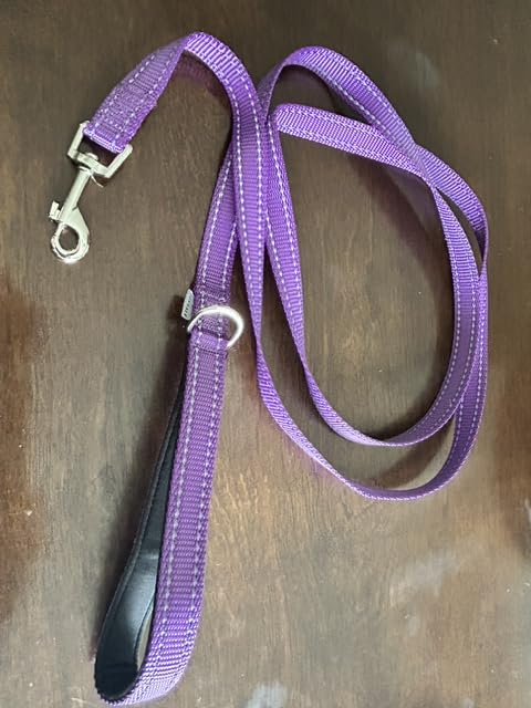 Joytale Dog Leash for Large Dogs that Pull, Double Handle, 6FT, Black | Traffic Handle for Control, Padded Handle Reduces Hand Strain, Reflective Stitching for Night Safety, Strong Nylon Webbing customer photo 2