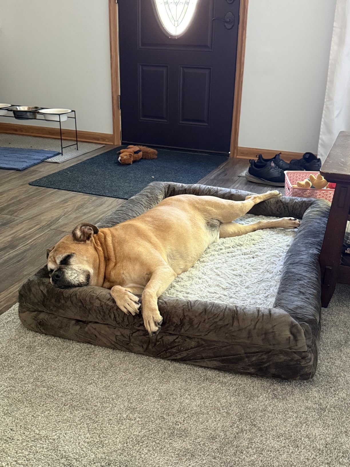WNPETHOME XXL Extra Large Orthopedic for Senior Dog Bed Comfy Sleeping | Washable Waterproof Dog Couch with Removable Cover, Large Pet Sofa Bed with Bolster Sides for Relaxing Grey 45x35 Inch customer photo 2