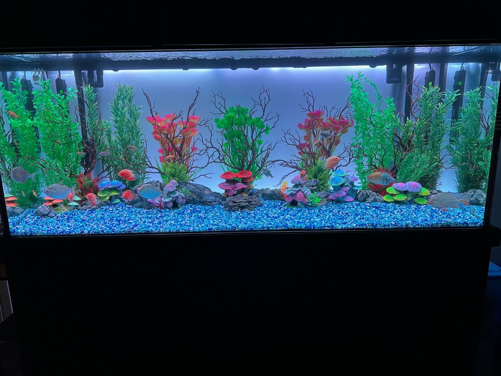 CURRENT USA ColorPlus Smart Freshwater Aquarium & Terrarium LED Light with App and Voice Control | Alexa & Google Home Compatible | Extra Vivid Colors for Fish Tank| Aluminum (for Tanks 24