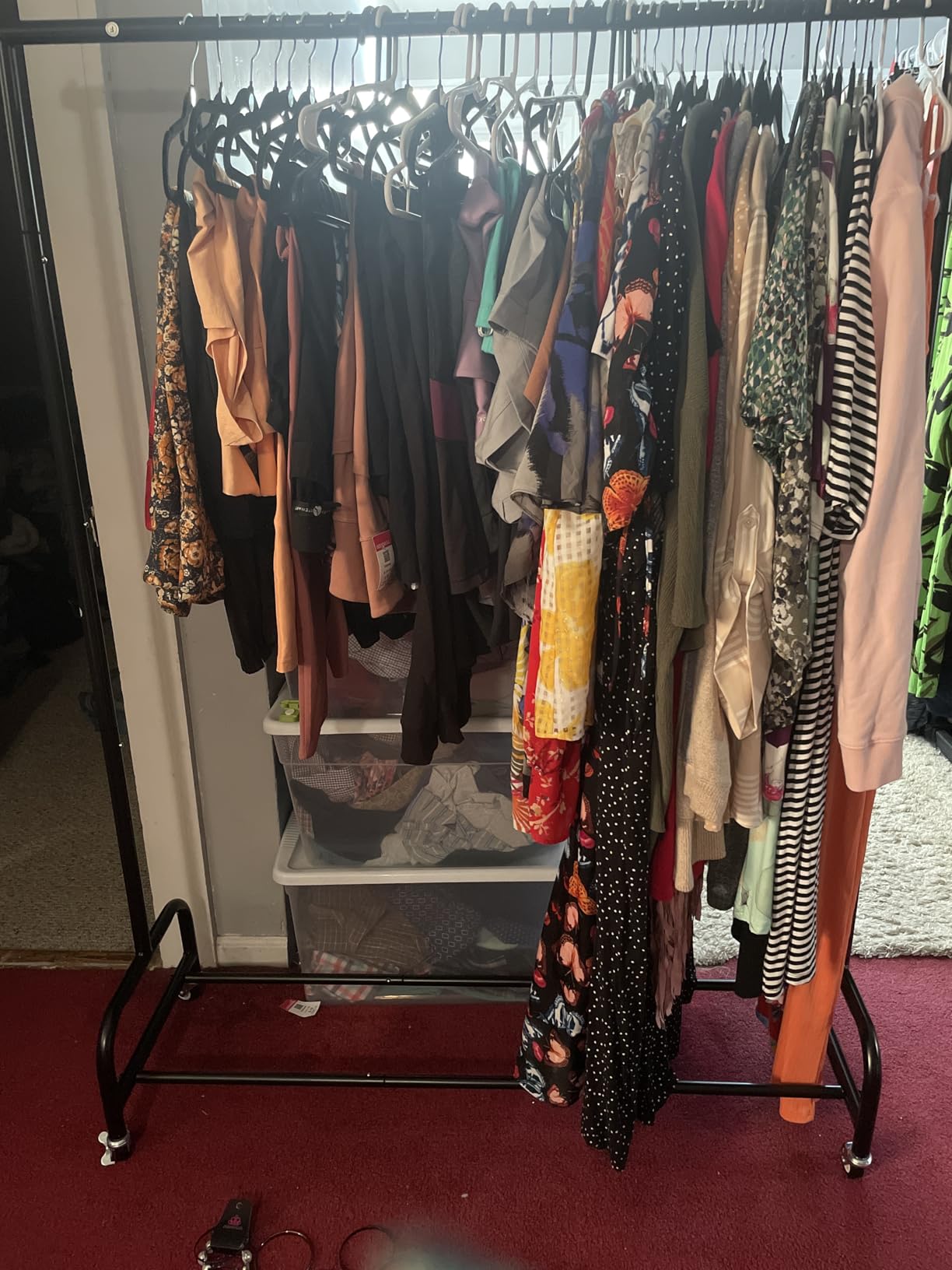 SLEEPING LAMB Heavy Duty Clothing Racks for Hanging Clothes Rack, 43