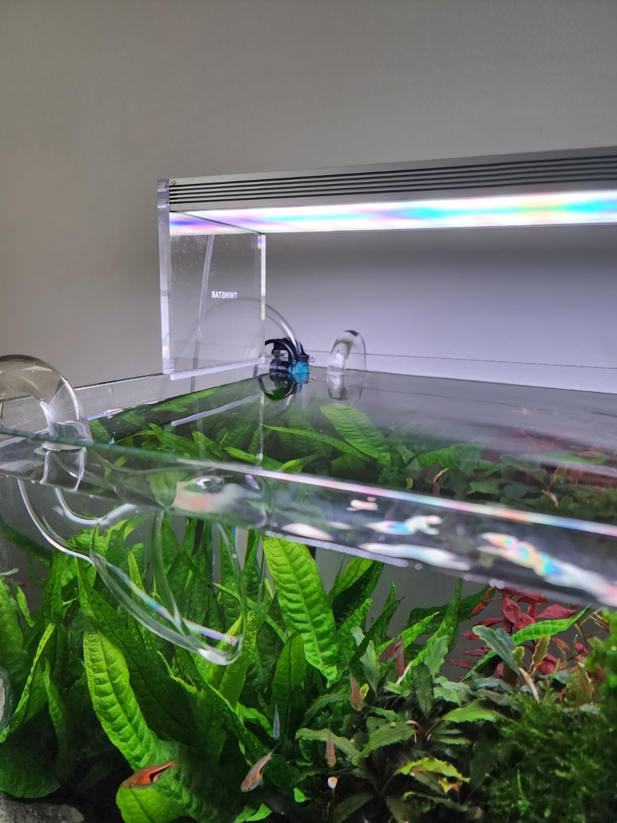 FZONE Aquarium ATO with Controller, QST2.0 Auto Top Off System for Saltwater Aquarium & Freshwater Aquarium customer photo 1