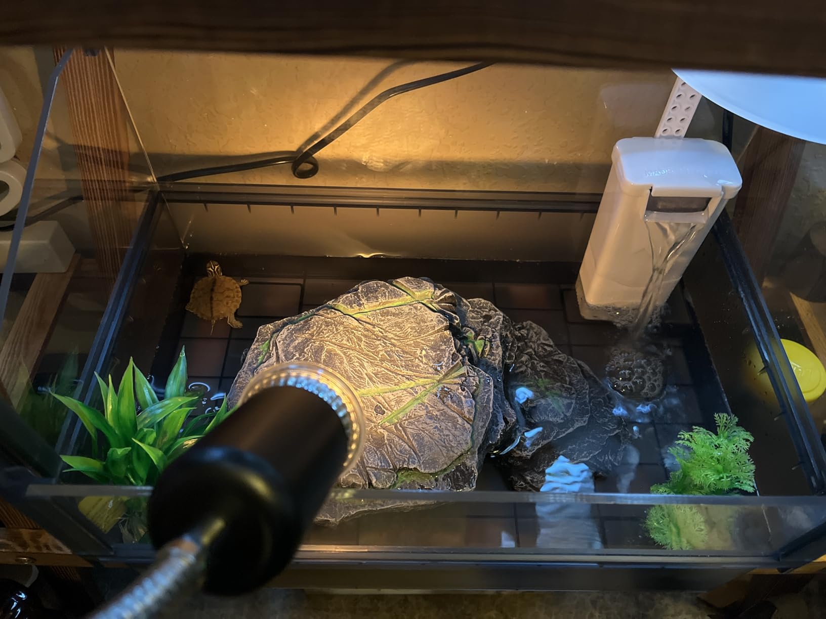 Large Turtle Tank Kit for Aquatic Turtles - Complete Starter Habitat with Filter, UVB Lamp, Basking Platform, Plants, Feeding Ring - Turtle Aquarium Kit (Black) customer photo 1