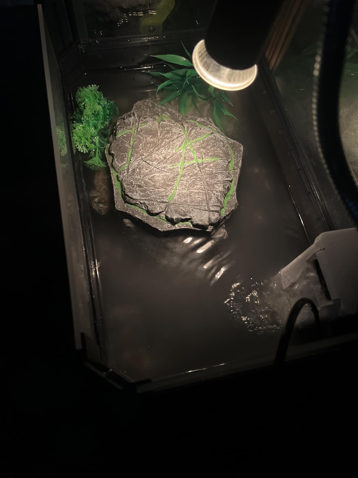 Large Turtle Tank Kit for Aquatic Turtles - Complete Starter Habitat with Filter, UVB Lamp, Basking Platform, Plants, Feeding Ring - Turtle Aquarium Kit (Black) customer photo 2