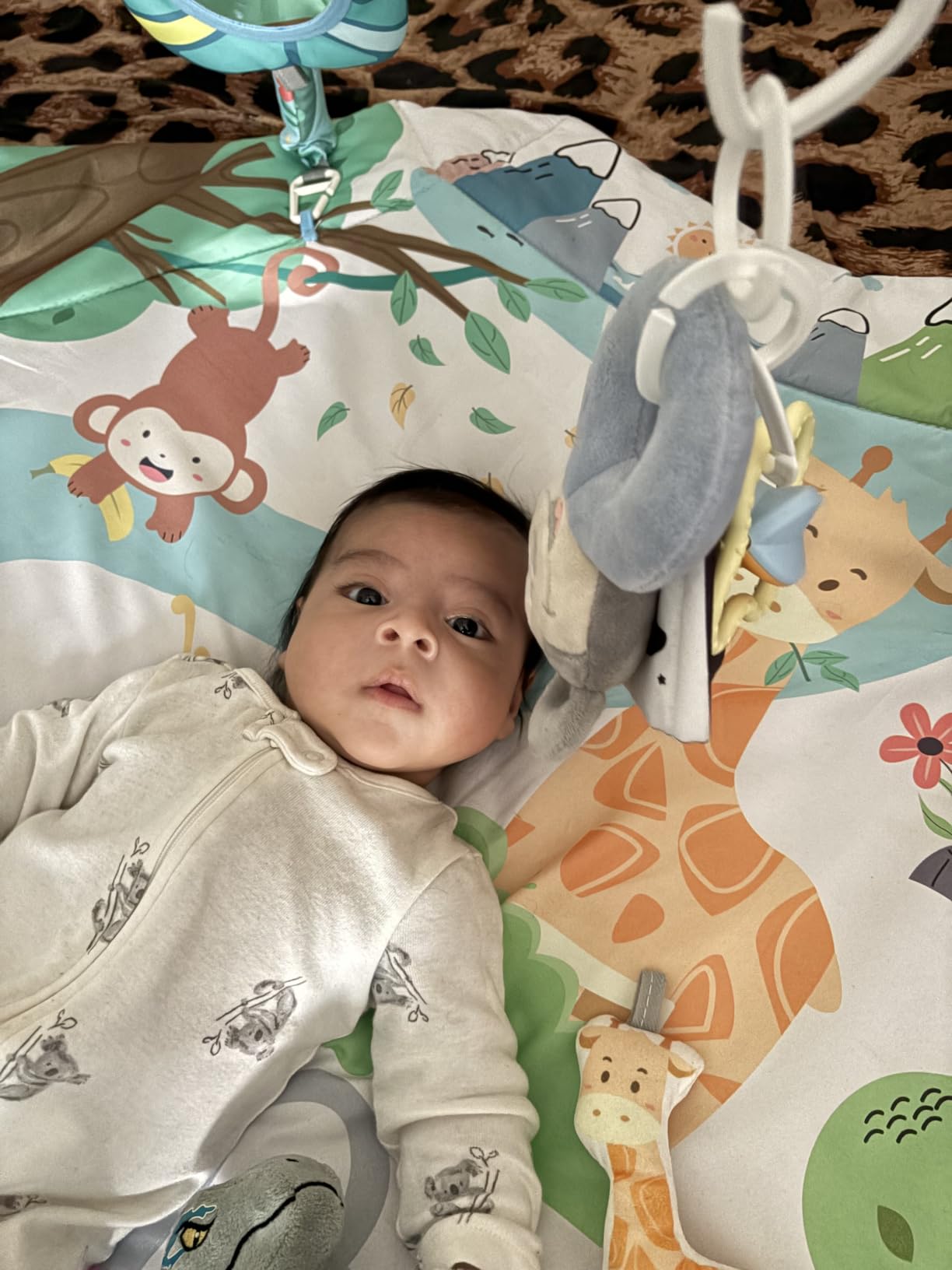 Baby Gym Play Mat, 8-in-1 Tummy Time Mat & Ball Pit with 6 Toys, Washable Baby Activity Play Mat for Visual, Hearing, Sensory, Motor Development, Baby Toys Gift for Toddler Infant 0-3-6-9-12 Months customer photo 1
