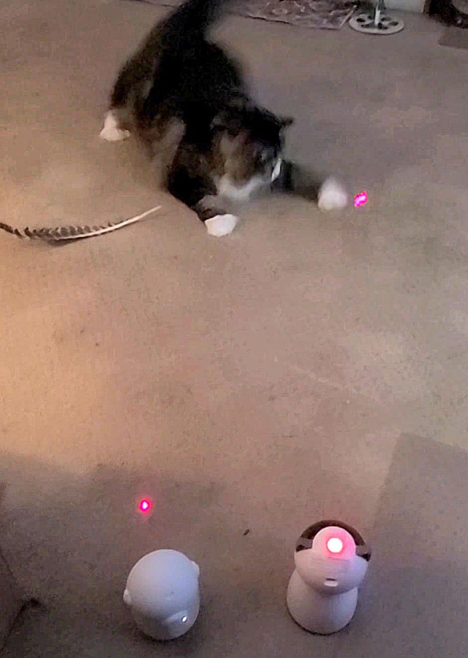 YVE LIFE Interactive Cat Toys Laser for Indoor Cats, Automatic Kitten Toys | 4th Gen Motion Activated Real Random Trajectory Laser Pointer Cat Toy, USB Rechargeable Cat Enrichment Toys customer photo 2