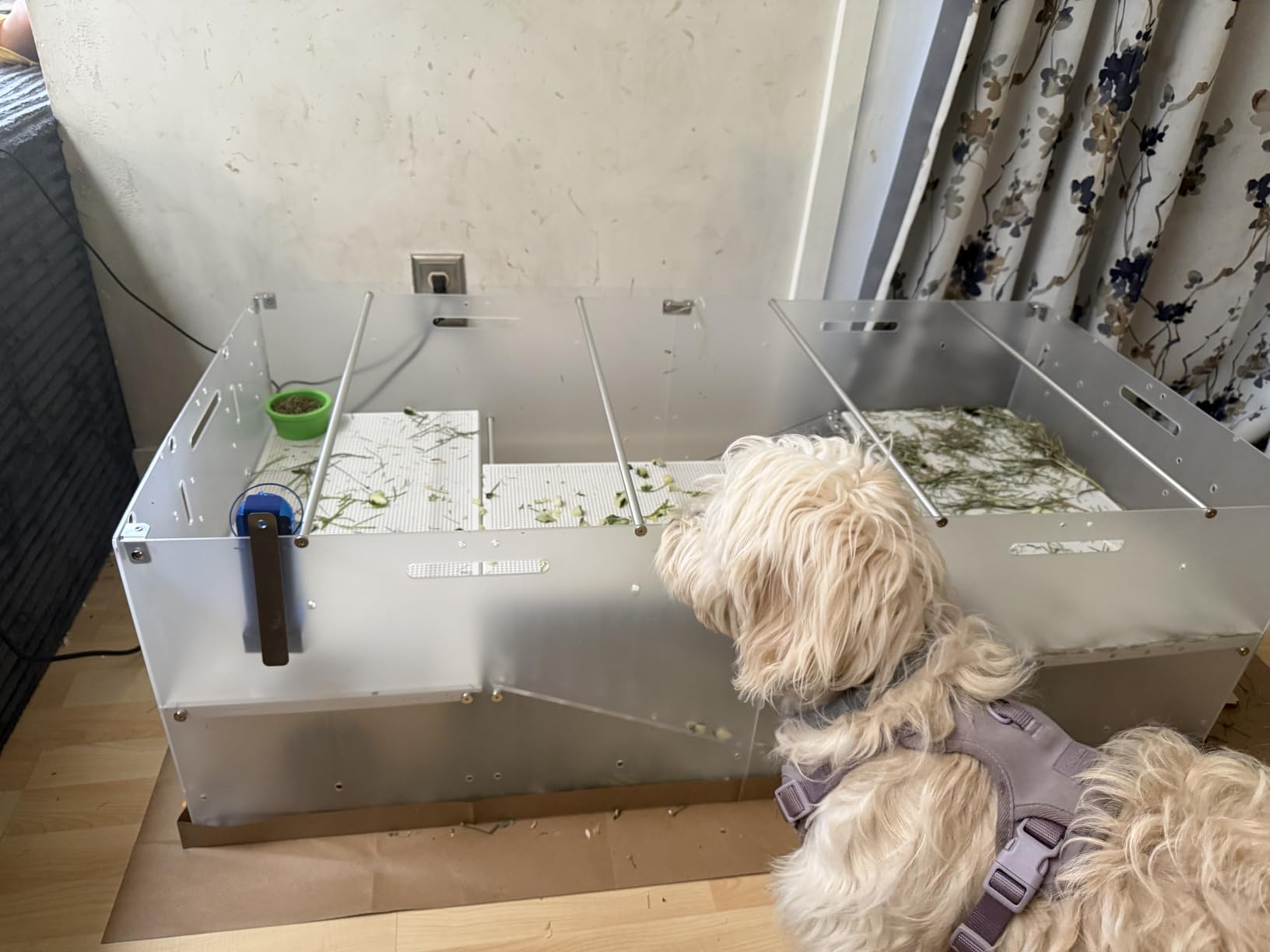 GuineaLoft Model-A Acrylic Guinea Pig Cage - Large 4x2ft Expandable C&C | Also Works for Small Roaming Animals Like Rabbits, Button Quails, and Hedgehogs customer photo 1