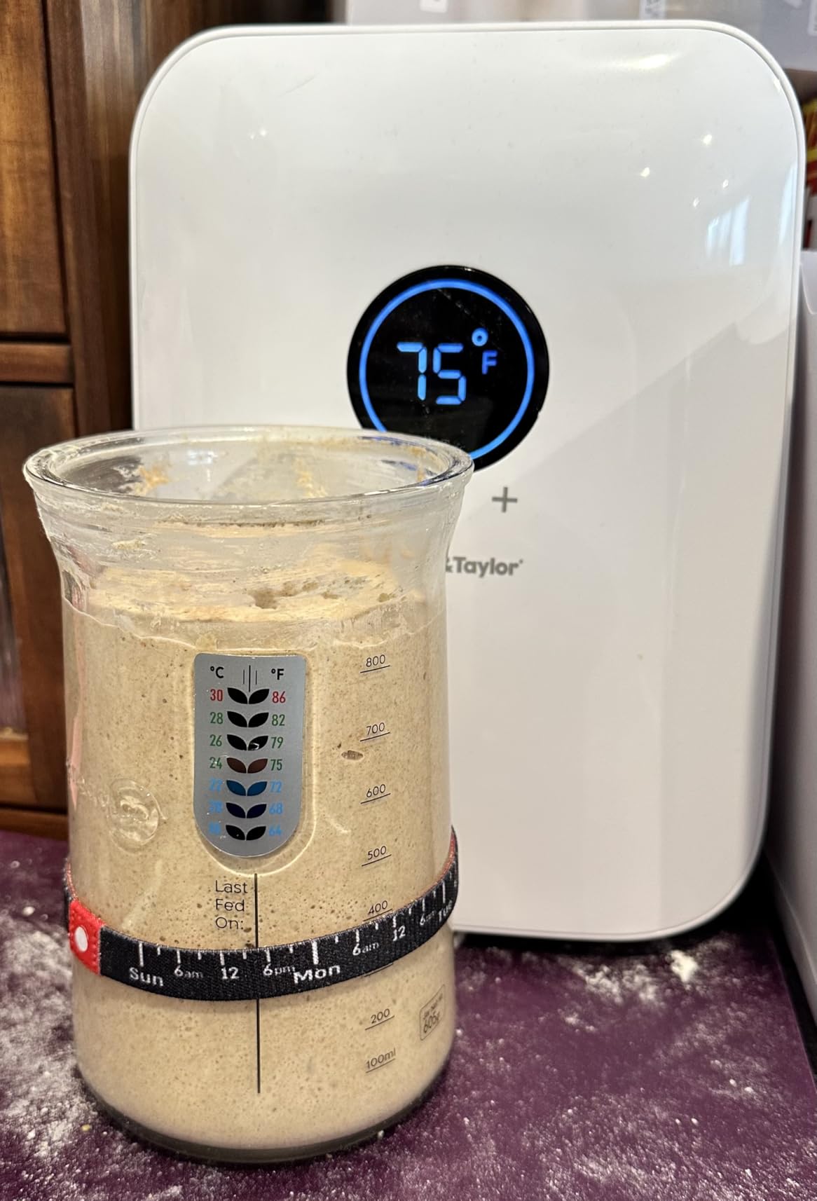 Brod & Taylor Sourdough Home customer photo 1