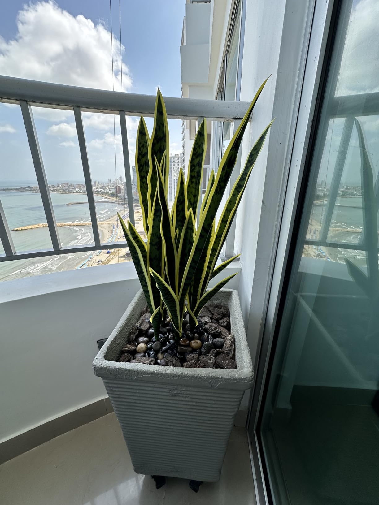 COTSEN 5 Pack Artificial Snake Plants Faux Agave Plant Fake Sansevieria Unpotted 30 inch Artificial Plants customer photo 2