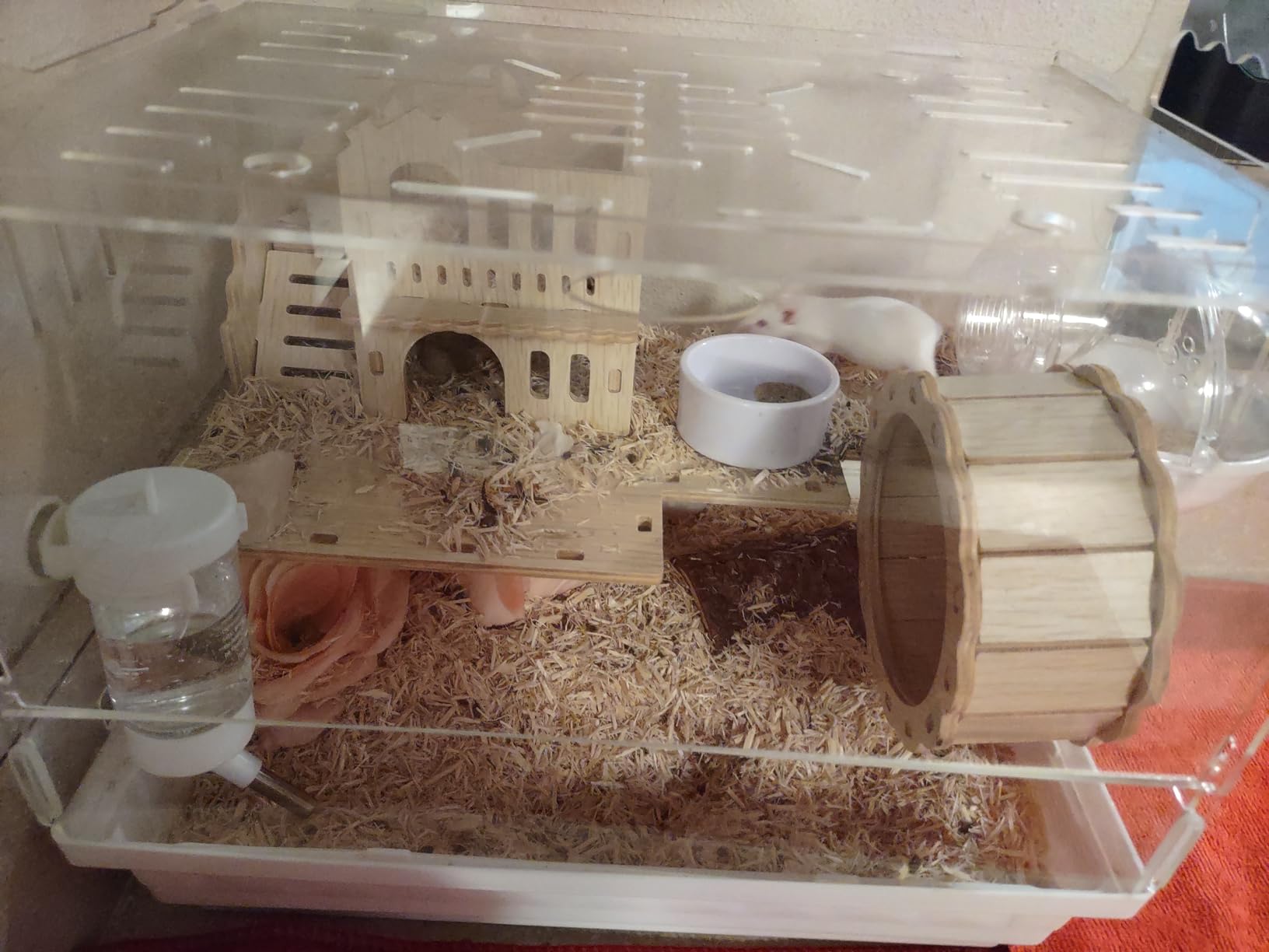 Cycodo 8 in 1 Acrylic Hamster Cage, 2-Tier Dwarf Hamster Cage with Wooden Wheel & Hideout, Small Hamster Habitat with Accessories, Clear Pet Mice House (Green, 14