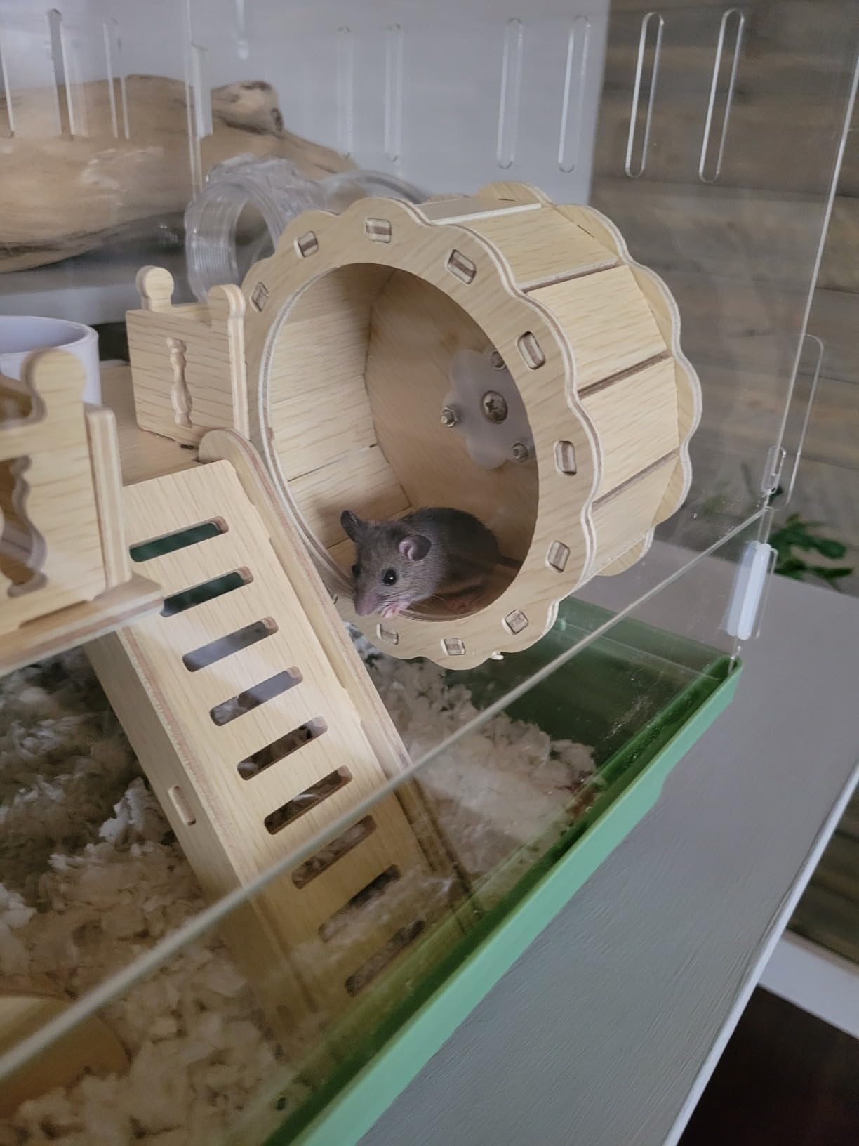 Cycodo 8 in 1 Acrylic Hamster Cage, 2-Tier Dwarf Hamster Cage with Wooden Wheel & Hideout, Small Hamster Habitat with Accessories, Clear Pet Mice House (Green, 14