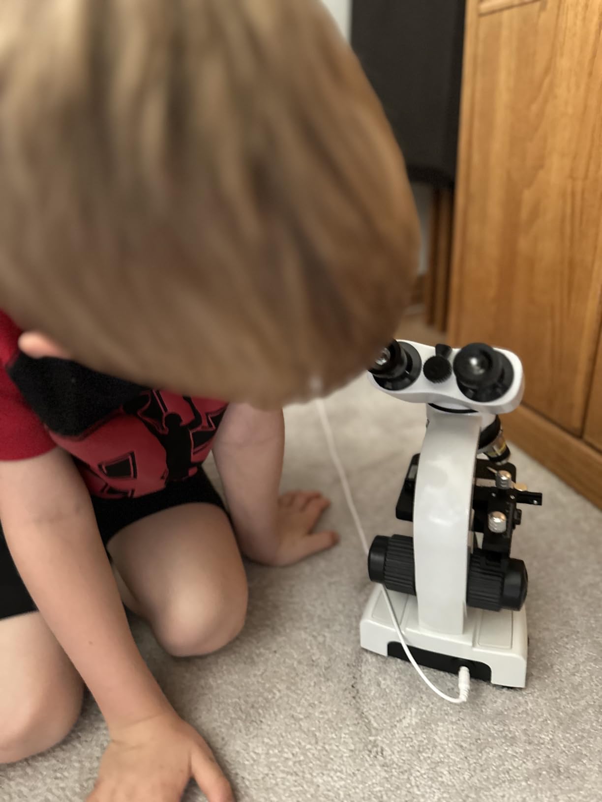 Compound Microscope 40X-2500X, WF10x and WF25x Eyepieces, Dual LED Lighting and Two-Layer Mechanical Stage, Microscope for Adults customer photo 1