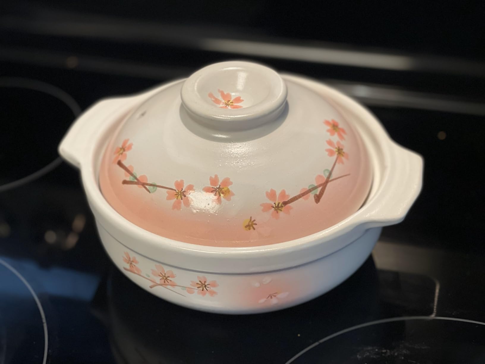 JapanBargain Clay Pot for Cooking Japanese Donabe Hot Pot Casserole Korean Earthenware Pot with Lid, Sakura Pattern, 7-inch, Serving 1-2 People customer photo 1