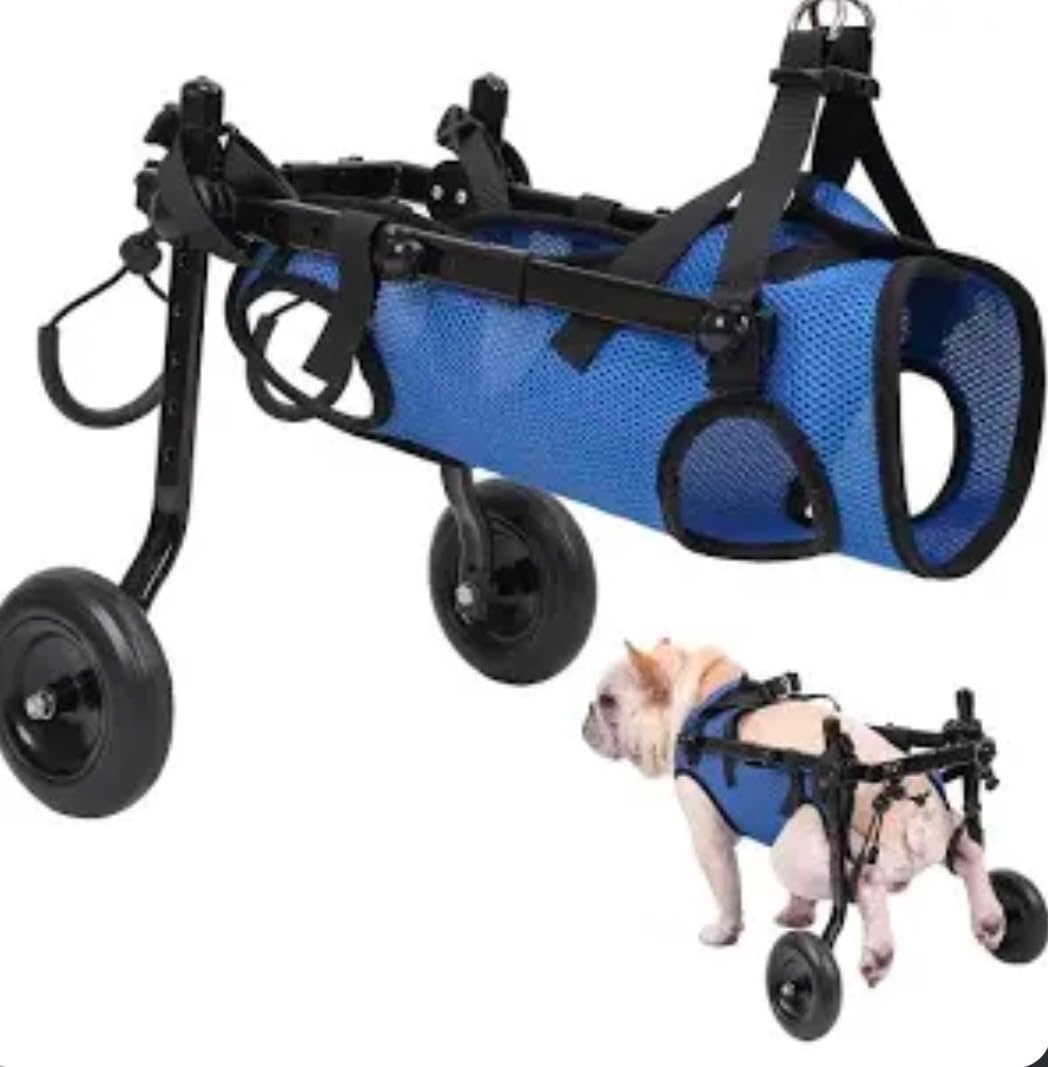 Small Dog Wheelchair for Back Legs - Adjustable Mobility Aid for Disabled Pets, Leg Brace and Hip Support customer photo 2