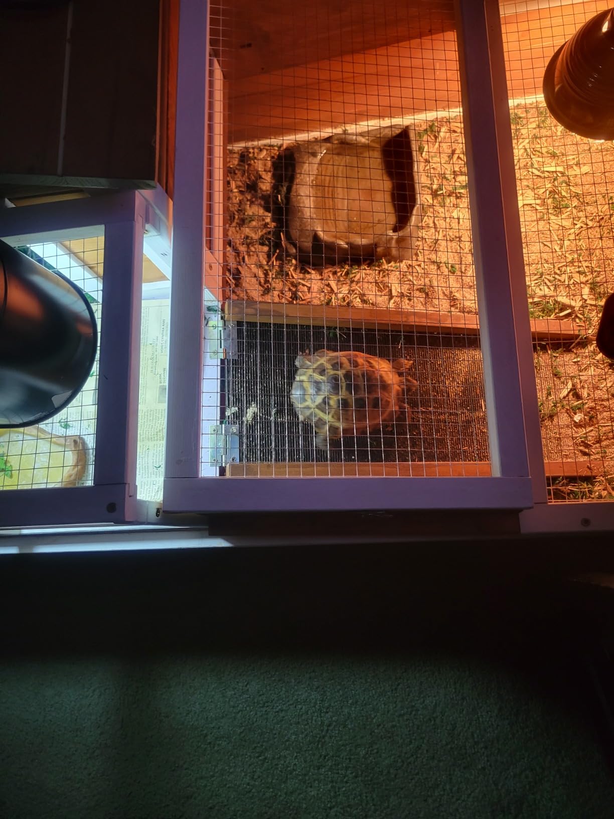 PawHut 3-Room Tortoise House Habitat with Balcony, 2 Stories, Indoor/Outdoor Wooden Tortoise Enclosure, Ladder, Tray, Openable Roof, Large Reptile Cage customer photo 2