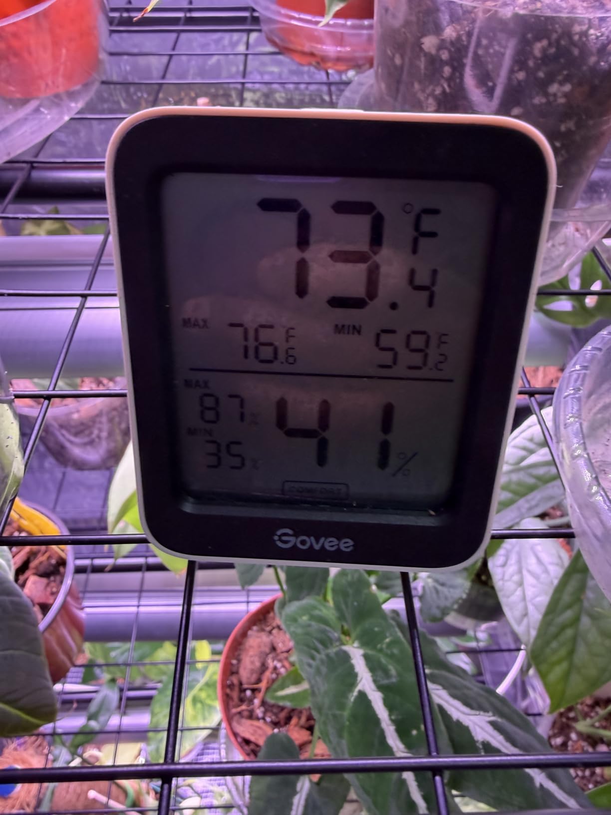 Indoor Greenhouse with Grow Light, 4-Tier Shelf, 26.4x19x61in | 1.6FT T5 Grow Light for Seedlings, Waterproof PVC Tent with Zipper Door, Plant Stand with 80W Full Spectrum Light, Timer customer photo 2