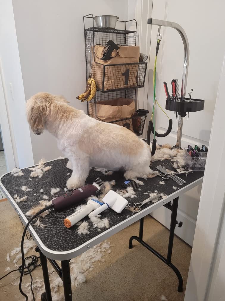 LEIBOU 45'' Height Adjustable(23''~33.8'') and Foldable Pet Dog Grooming Table Heavy Duty Iron Frame with H-Shape Grooming Arm & Noose, Maximum Capacity Up to 260lbs, Black customer photo 2