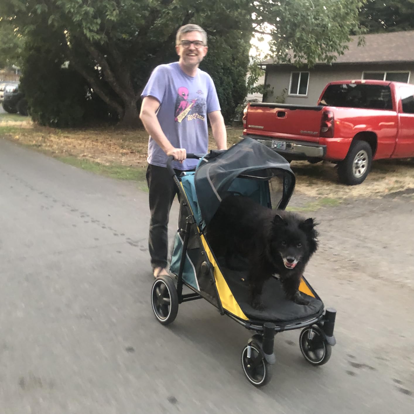 Petbobi Dog Stroller for Large Medium Dogs up to 80 lbs, Dual Entry, One-Hand Fold, One-Foot Brake, All Terrain 360 Swivel Front Wheel, Heavy Duty Air Mesh Wagon, Low Step-In for Senior Pets customer photo 2