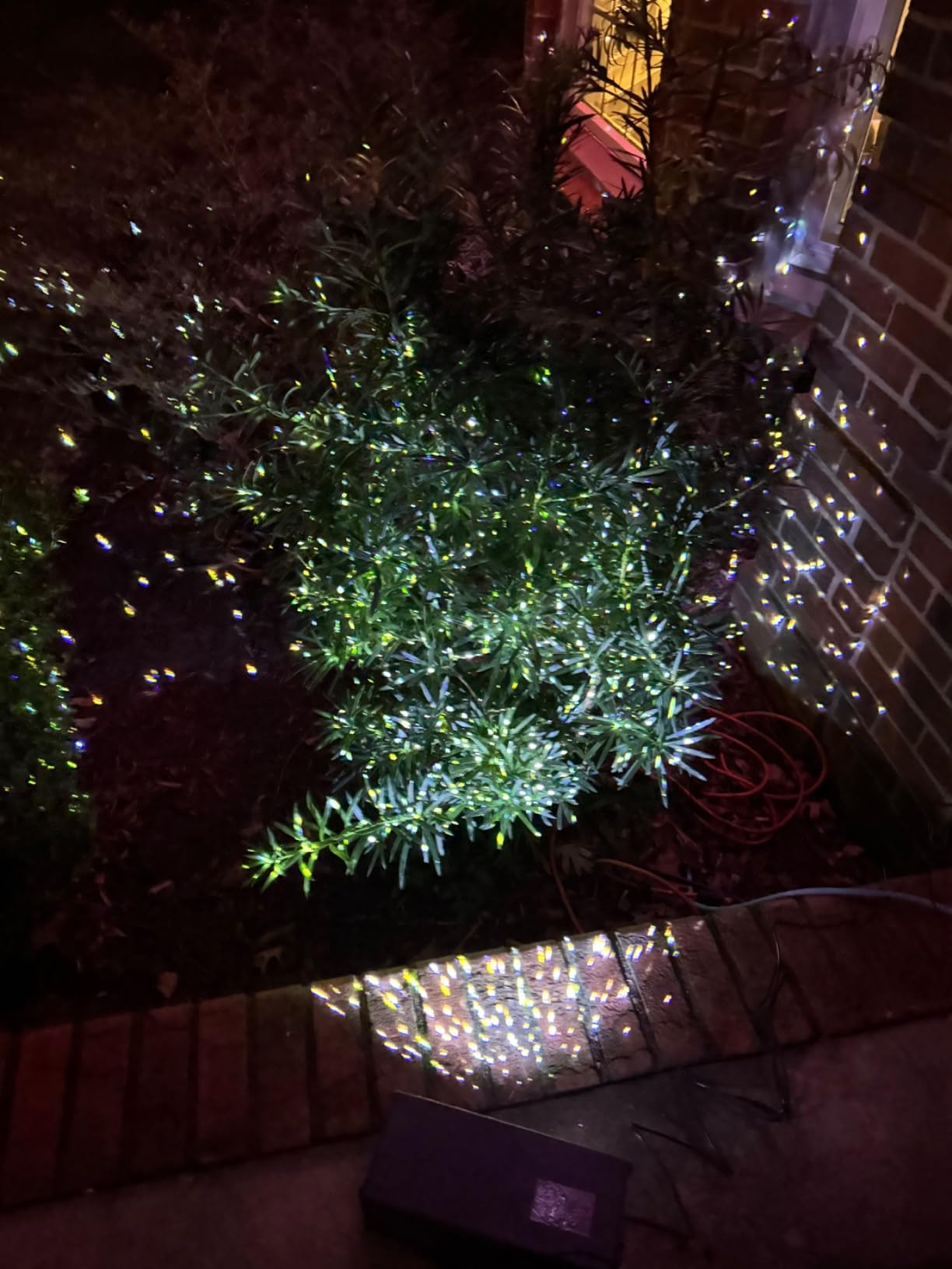 AIRIVO Outdoor Laser Lights Projector, 5 Color Motion Firefly Lights Star Show Projection Light, Christmas Projector Light with Remote Control for Holidays Halloween Decoration Home, Garden, Patio customer photo 1