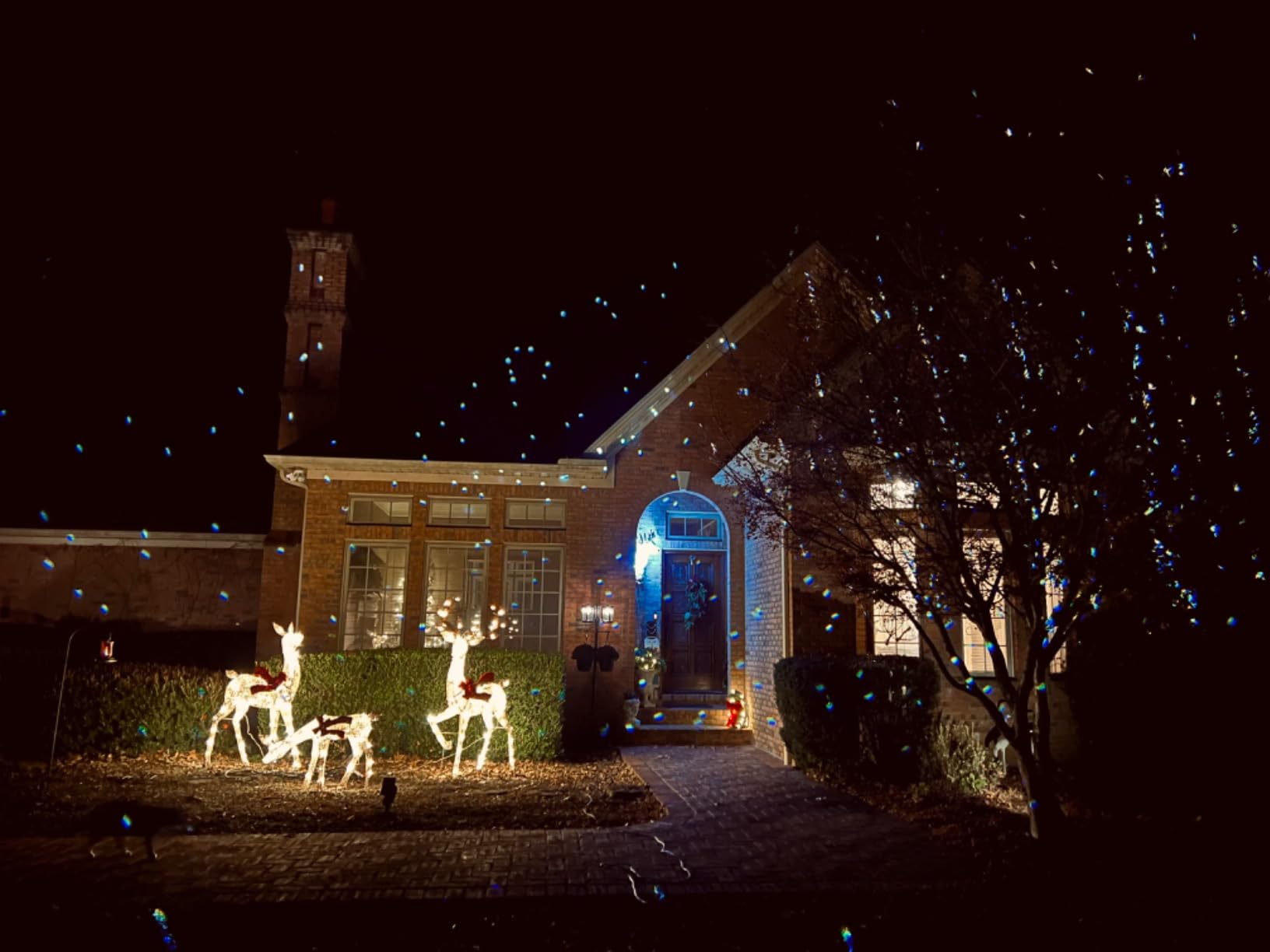 AIRIVO Outdoor Laser Lights Projector, 5 Color Motion Firefly Lights Star Show Projection Light, Christmas Projector Light with Remote Control for Holidays Halloween Decoration Home, Garden, Patio customer photo 2