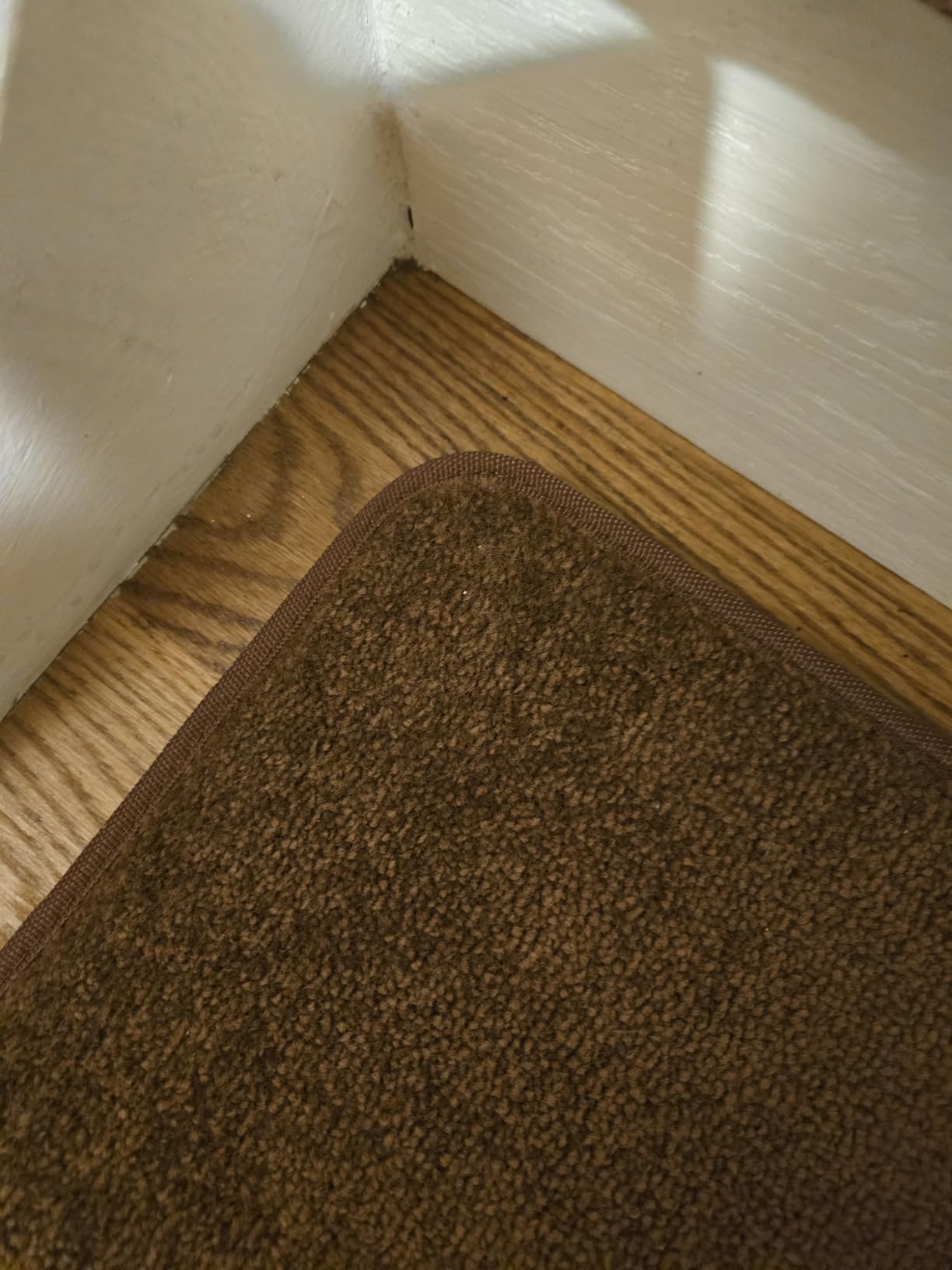 PURE ERA Bullnose Carpet Stair Treads Tape Free Non-Slip Indoor Stair Protectors Pet Friendly Stair Treads for Wooden Steps 9.5