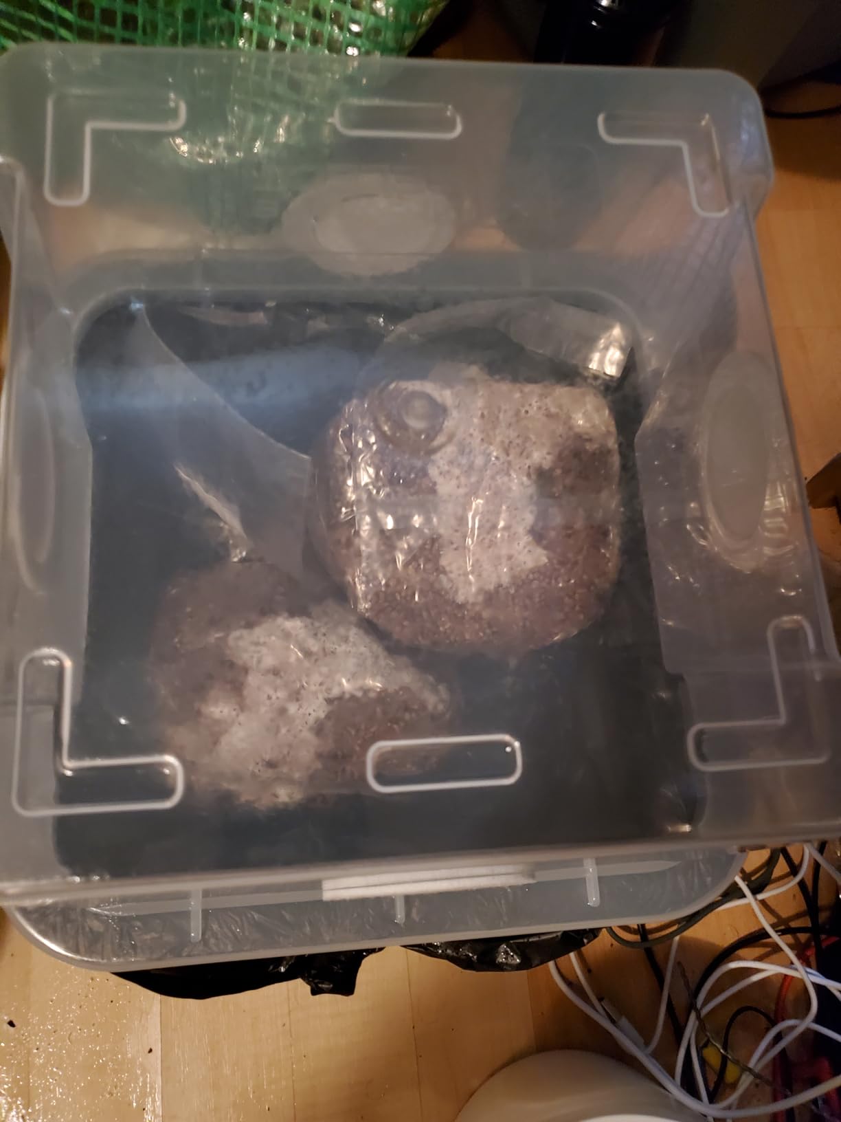 Myco Labs Grower's Select Mushroom Monotub Fruiting Chamber with Filter Disks and Liner customer photo 1