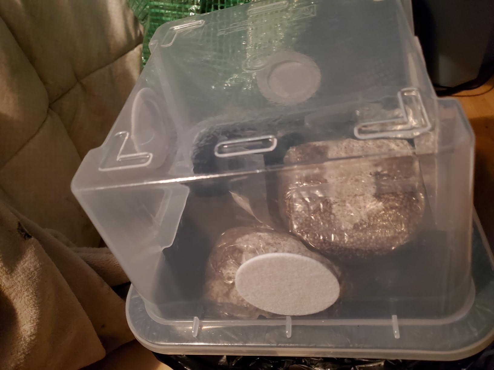 Myco Labs Grower's Select Mushroom Monotub Fruiting Chamber with Filter Disks and Liner customer photo 2