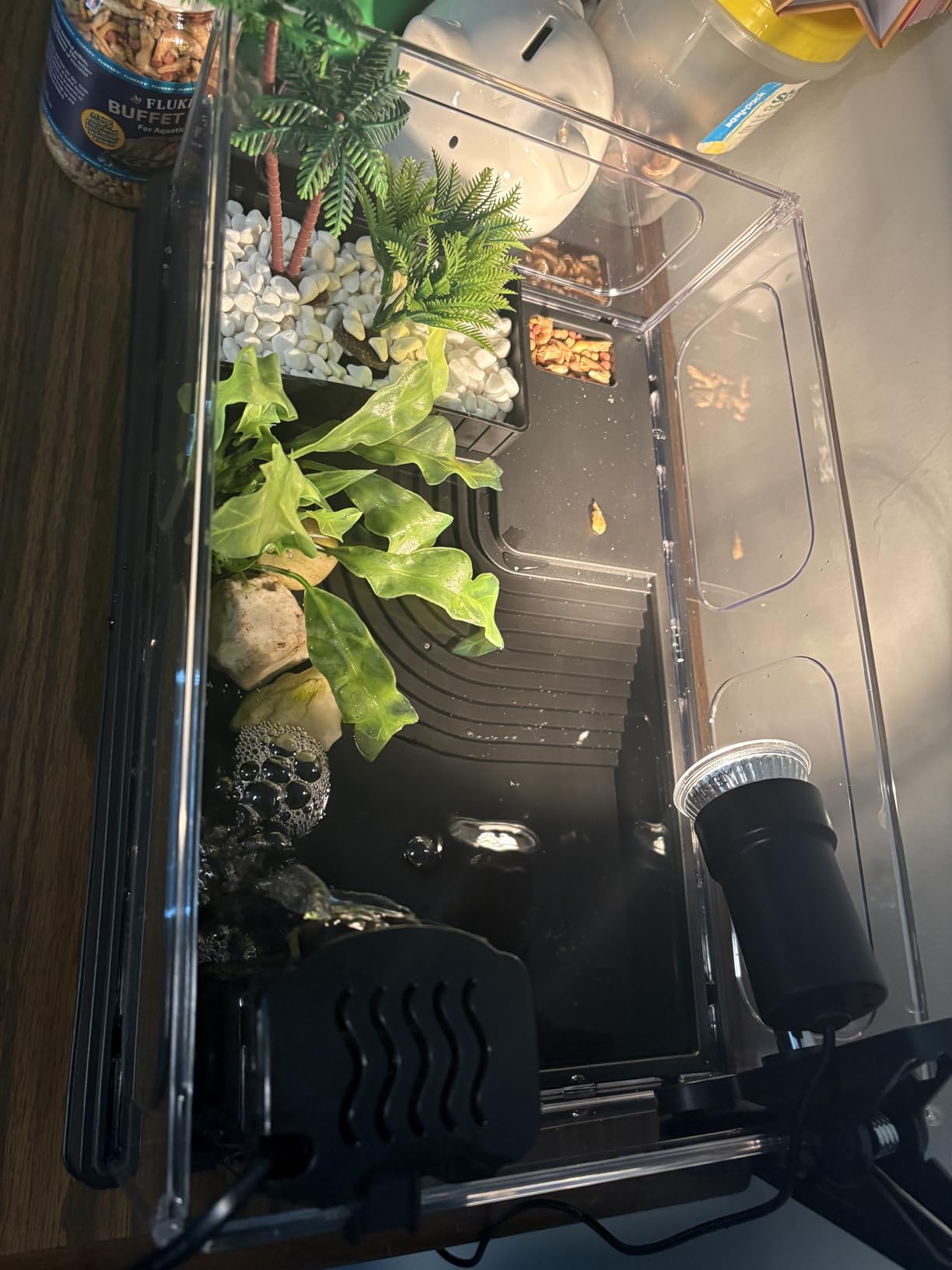 MoonOrange Small Turtle Tank Kit, Acrylic Turtle Tank Starter Kit with Basking Platform, Bottom Drainage, Multi-Function Areas for Turtles, Crabs, Crayfish, Small Reptiles (Black Kit) customer photo 2