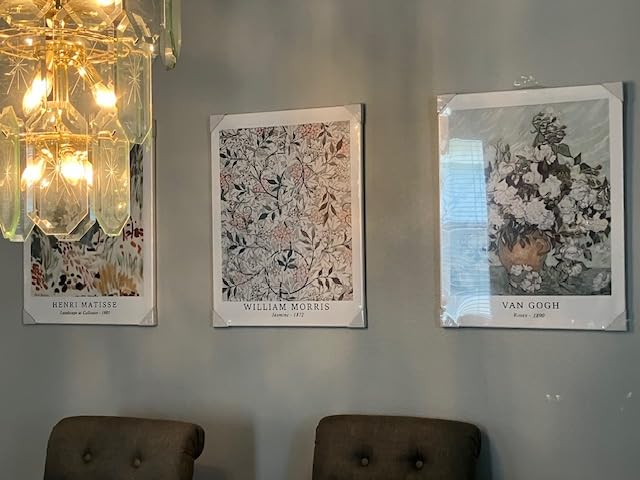 Induslyfe Framed Sage Green Vintage Wall Art Canvas Decor Set of 3, Matisse Prints Posters Mid Century Modern Art, Aesthetic Floral Botanical Wall Art for Bedroom, Living Room, Bathroom 12x16 customer photo 1